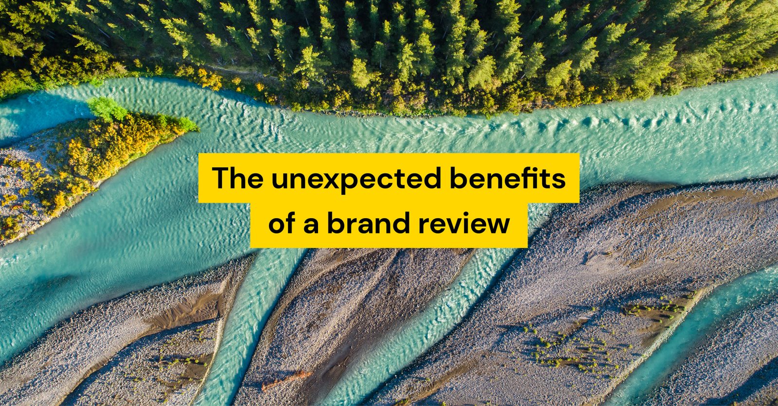 The unexpected benefits of a brand review